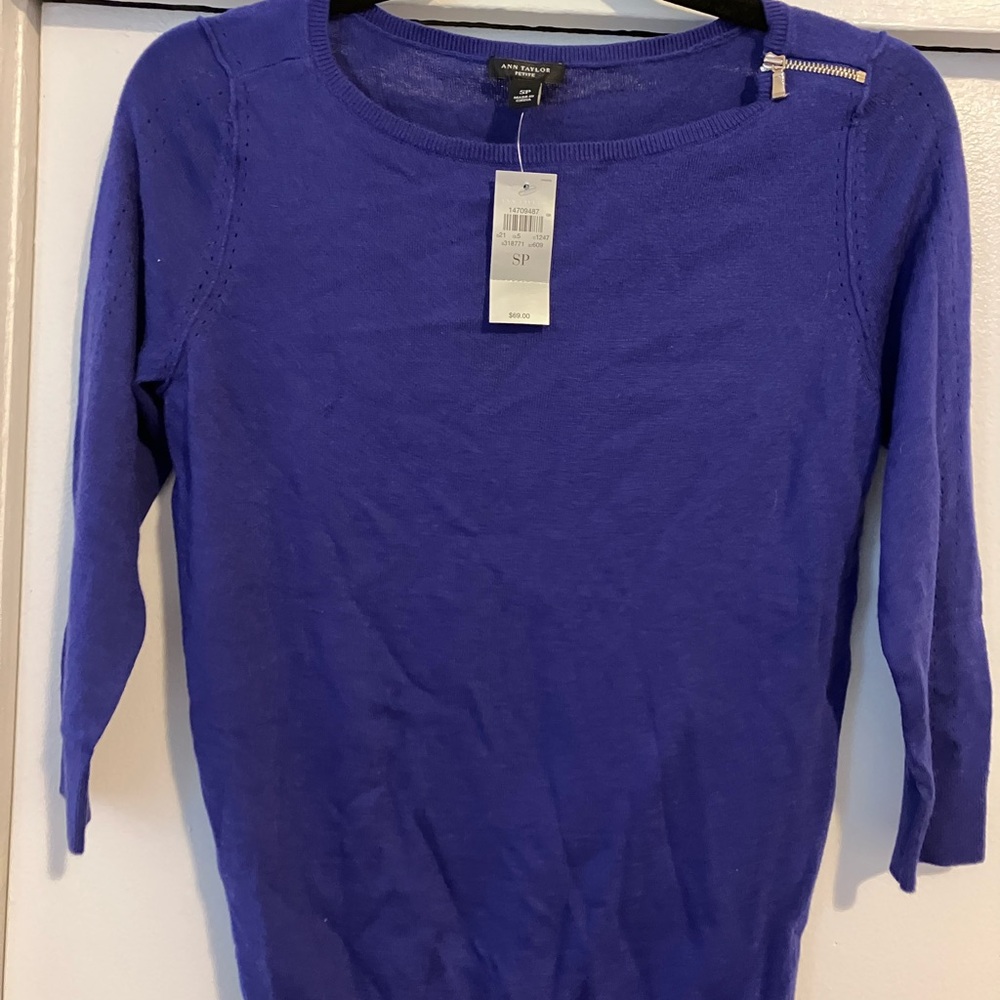 Ann Taylor Royal Blue Knit Top
